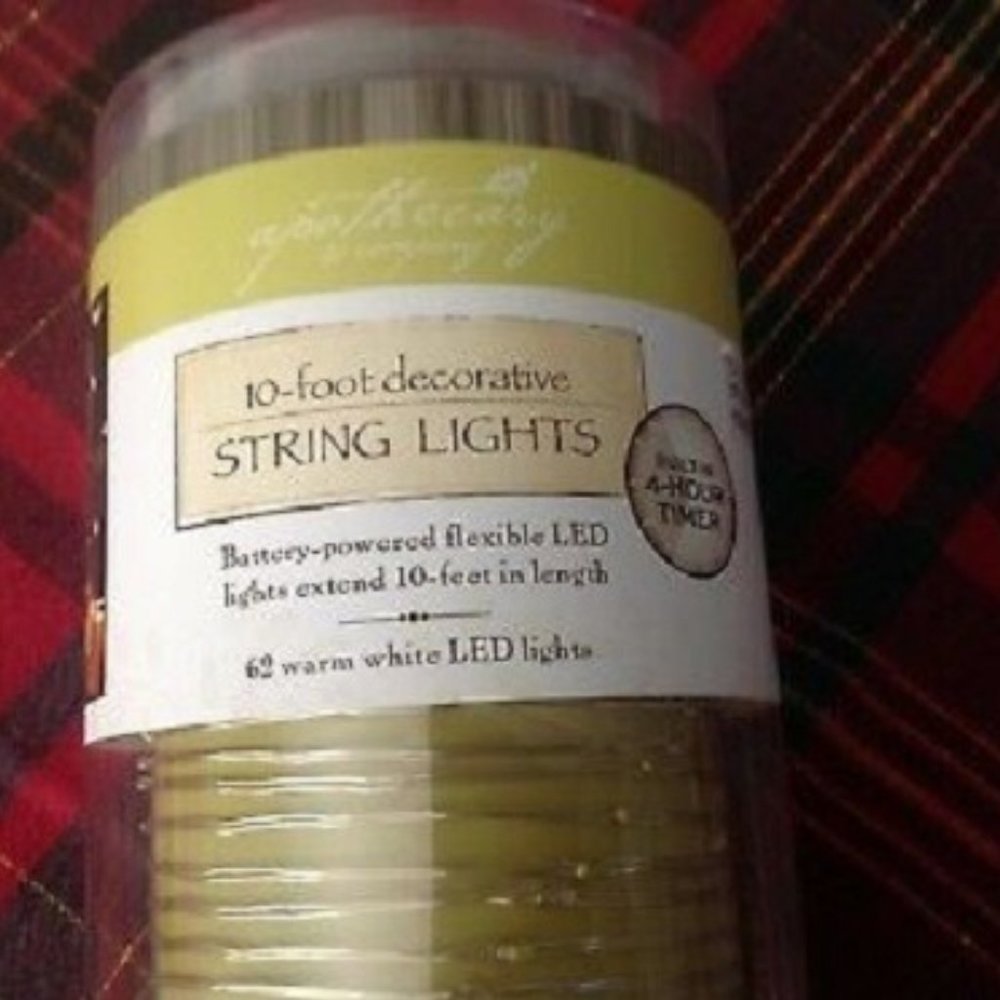 10' L.E.D. soft white string lights 40 mini LEDs